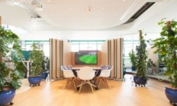 Feng Shui Besprechungszimmer