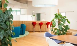 Feng Shui Meeting
