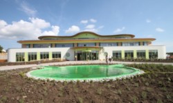 Feng Shui Wasserdrachen