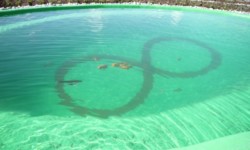 Feng Shui Wasserformation
